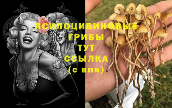 мефедрон Алексеевка