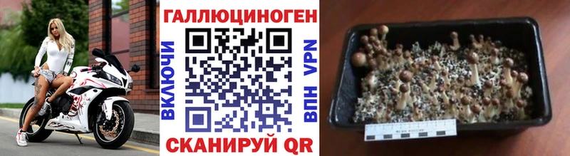 Галлюциногенные грибы Psilocybine cubensis  даркнет сайт  Истра 