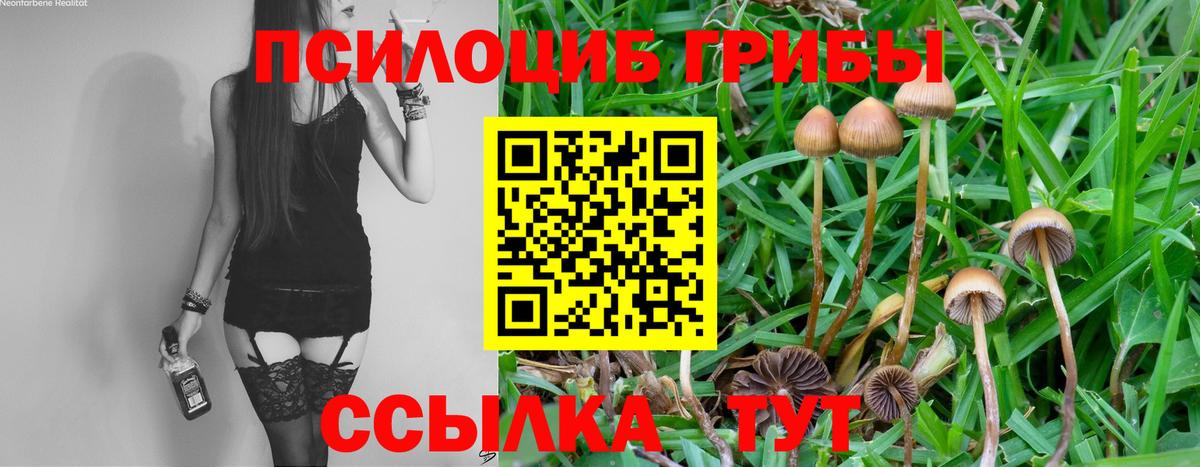 Псилоцибиновые грибы MAGIC MUSHROOMS Истра
