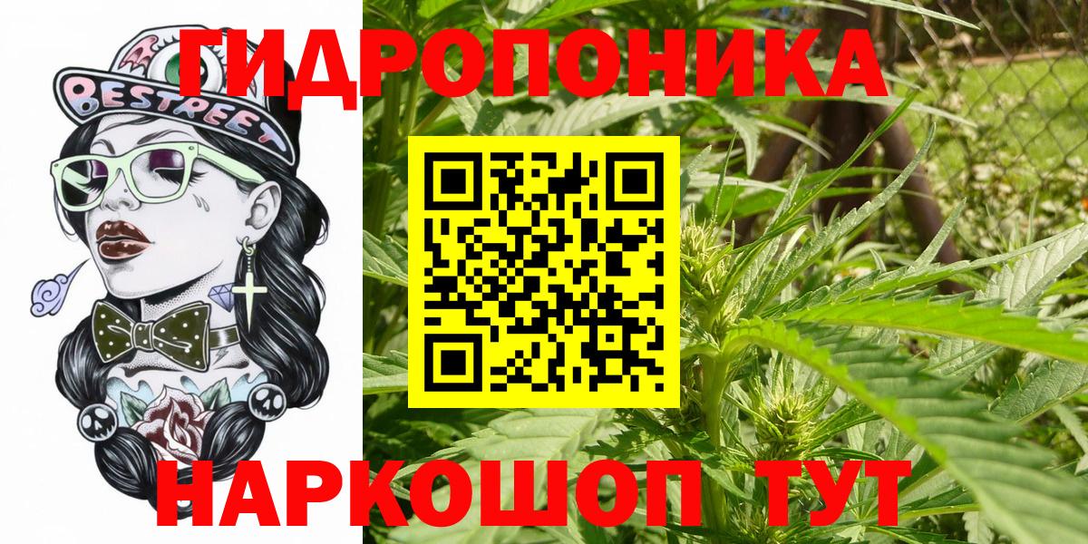 Канабис план Истра